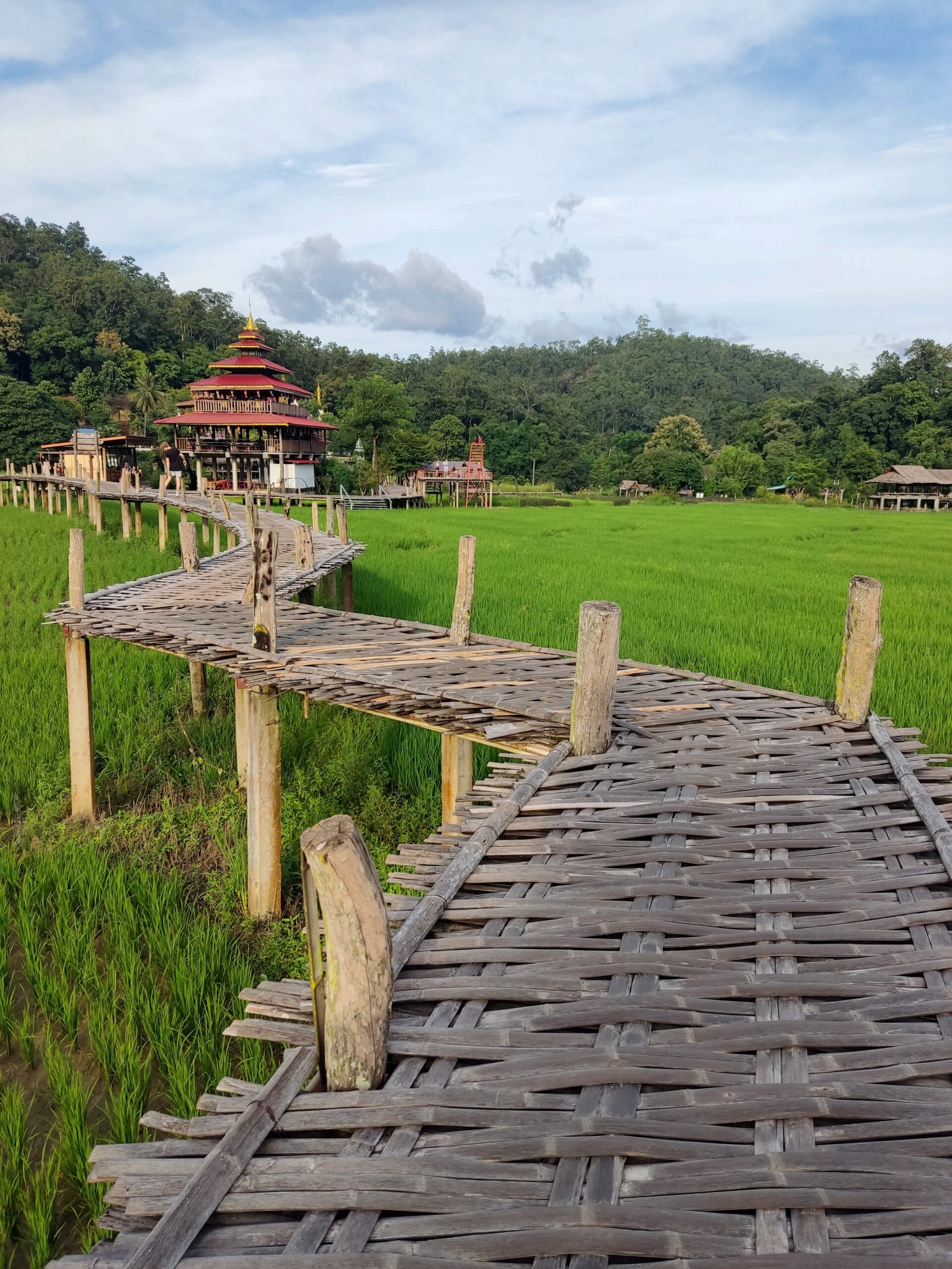 pai: Bamboo Bridge